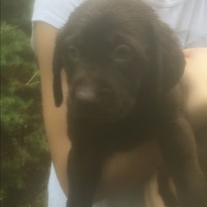 Meet your Posher, Delmar